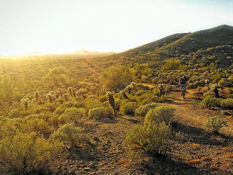 Sonoran sunset in January.