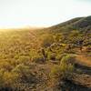 Sonoran sunset in January.