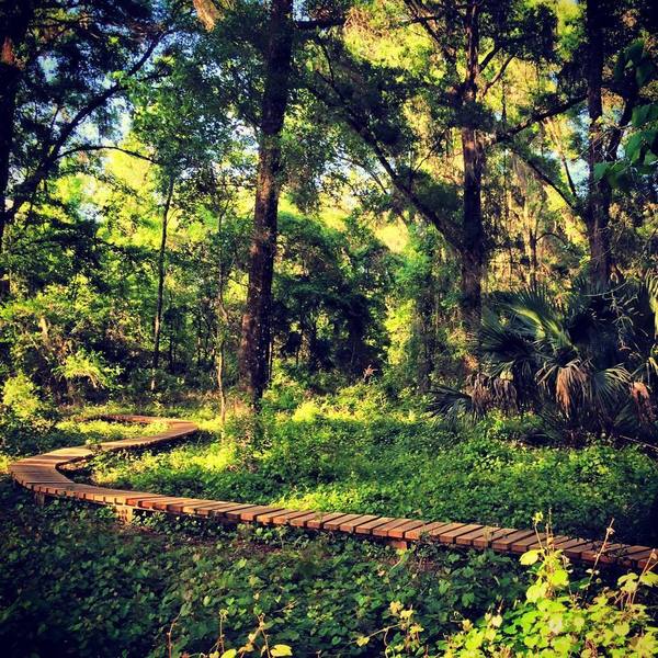 This intermediate skinny snakes through the trail for about 50 feet