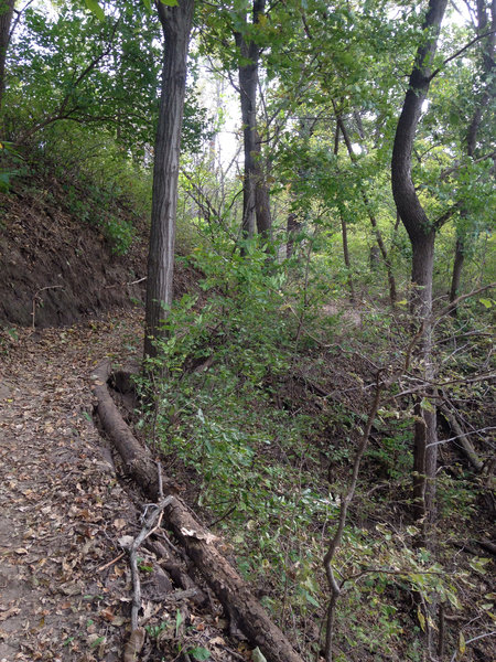 Don't ride if you're scared of drop offs on the side of the trail - there are many!