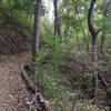 Don't ride if you're scared of drop offs on the side of the trail - there are many!