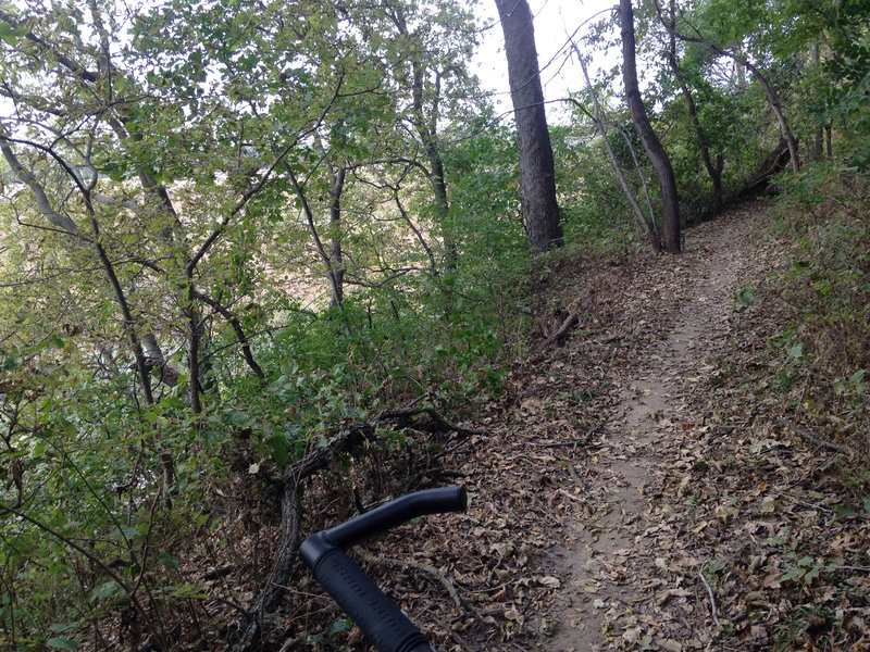 Singletrack through the woods.