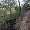 Singletrack through the woods.