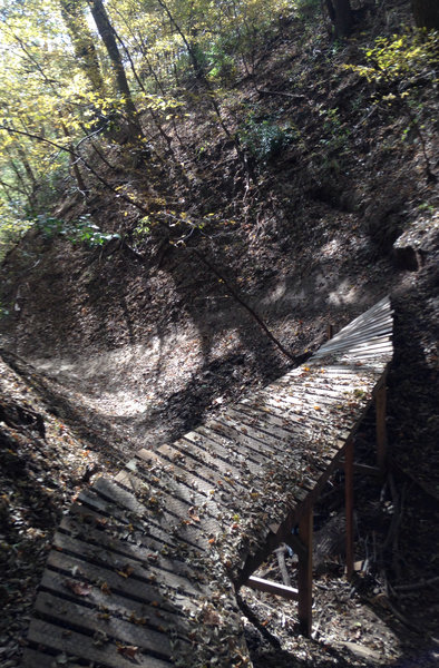 Double black diamond bridge.