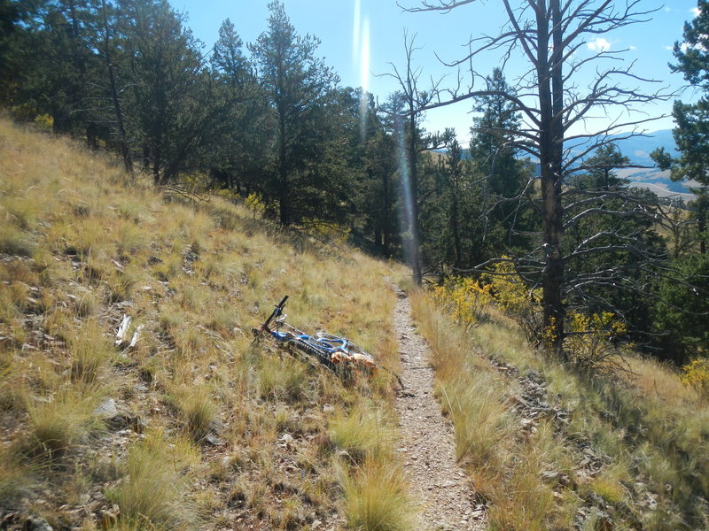 Climbing, climbing, climbing all the way to Inspiration Point. . . .