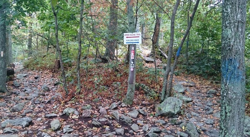 A very rocky hike a bike on kaylors knob to upper ravine trailhead