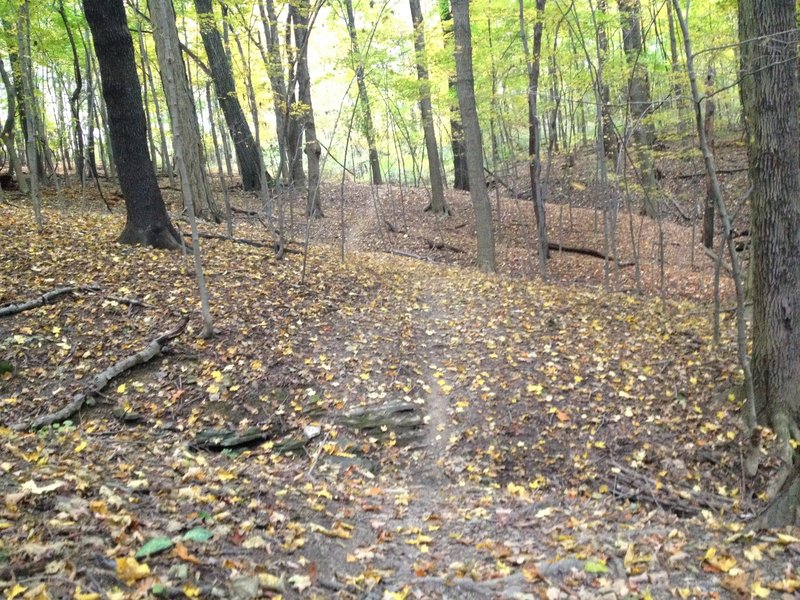 Nice fall day on the Stewarts Trail.