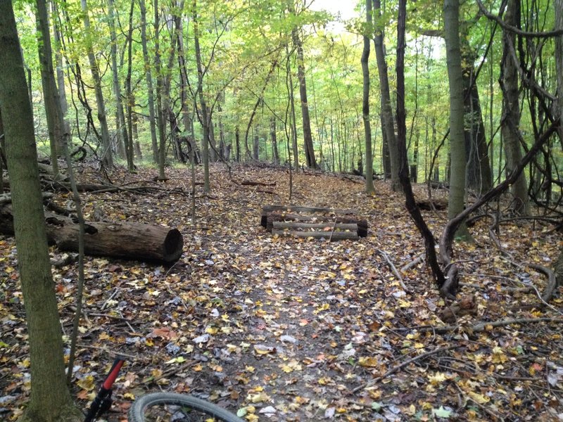 Log Pile located on Stewart  Trail