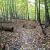 Log Pile located on Stewart  Trail