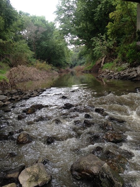 River views from the Wilderness Park underpass