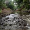 River views from the Wilderness Park underpass