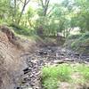 Creek crossings on the Wilderness Park trail