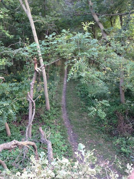 Looking down at the Wilderness Park