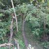 Looking down at the Wilderness Park