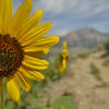 Benl Lomond Peak, North Ogden, UT