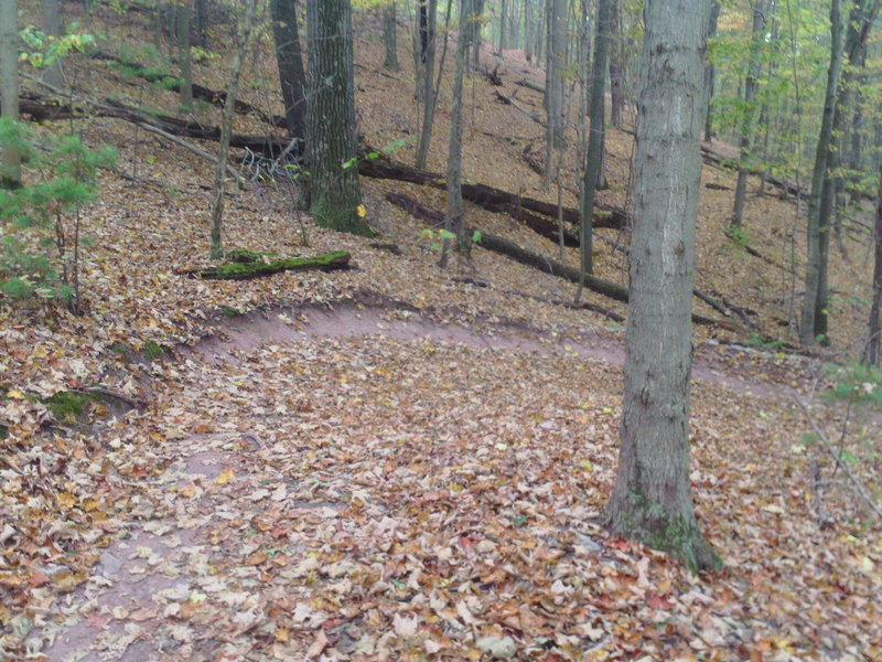 Nice sweeping berm on Osprey trail