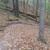 Nice sweeping berm on Osprey trail