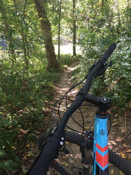 Resting early along the White River.