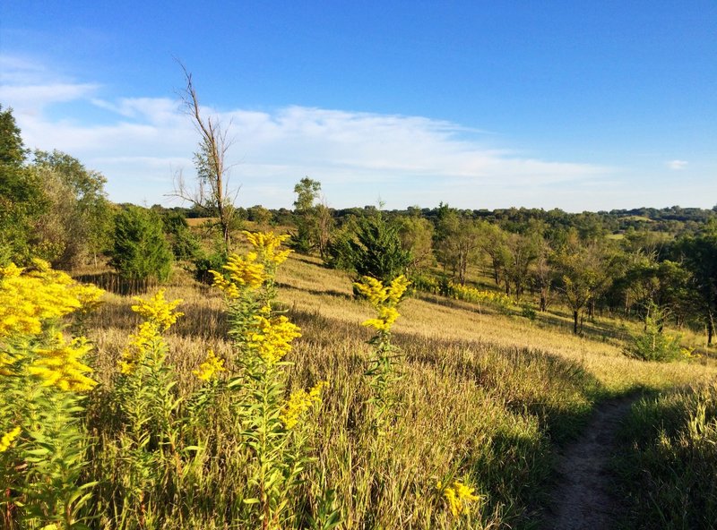 Top of the prairie section of the Bacon Creek Trail, looking southeast.