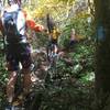 Bridge crossing - is very slippery in riding shoes