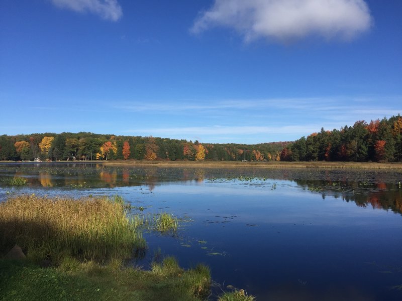 Beginning of Star Mill Trail