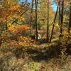 Bridge on Woodland Trail