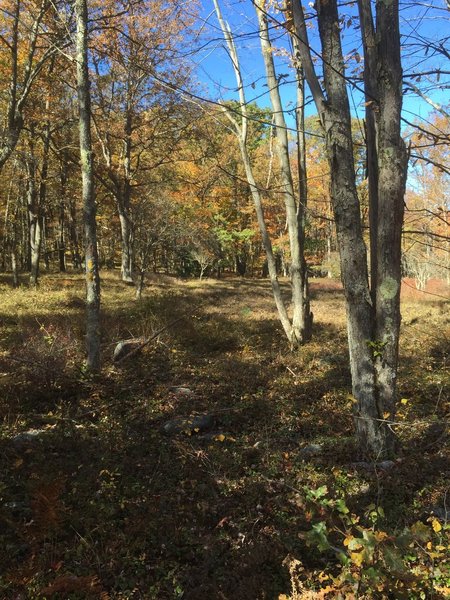 The start of Headwaters Trail at the intersection with Woodland Trail and Ridge Trail