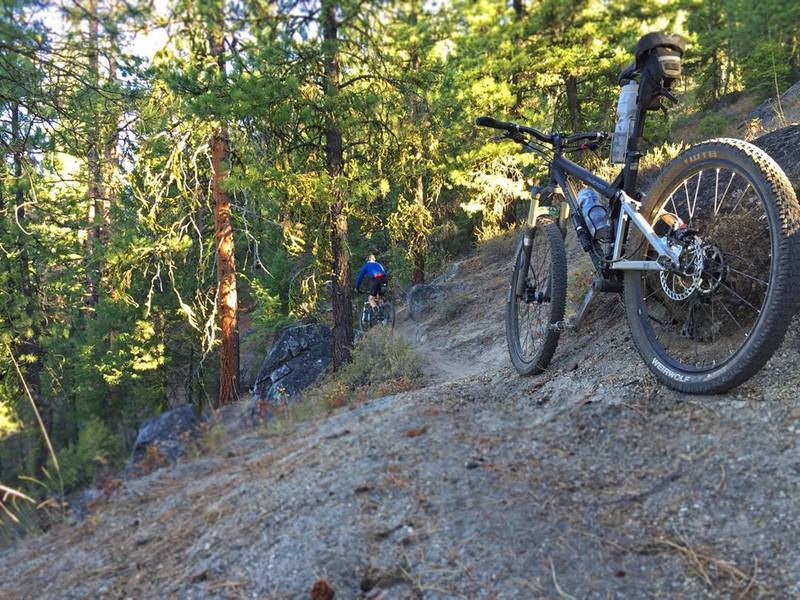 One of two rock challenges on the lower section of the Eagle's Nest Trail. It's tougher going up.