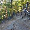 One of two rock challenges on the lower section of the Eagle's Nest Trail. It's tougher going up.