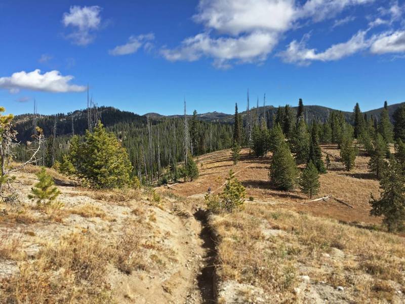 A momentary break from the climb to take in a view of the upper section.