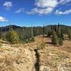 A momentary break from the climb to take in a view of the upper section.