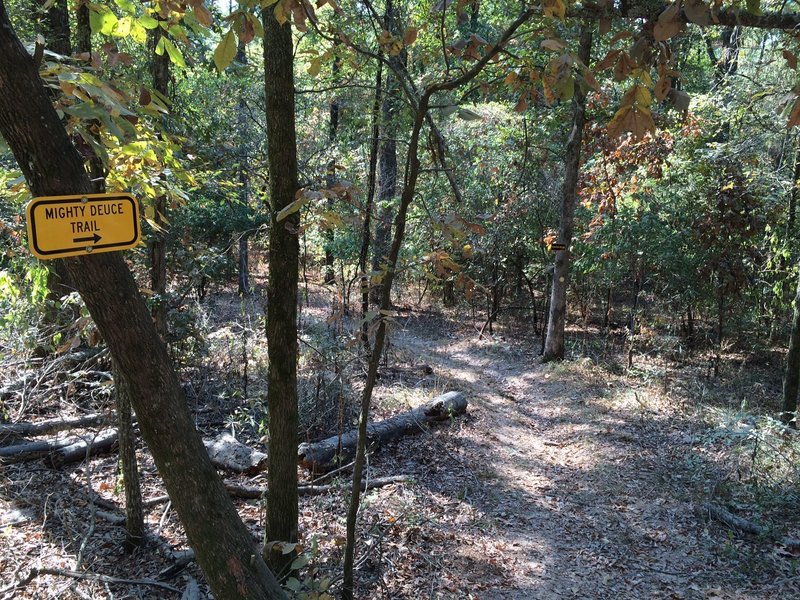 Trailhead where the Mighty Deuce begins, flowing counter-clockwise.