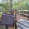 Beginning of the "Bayou Bridge", a 675 foot bridge over wetlands.