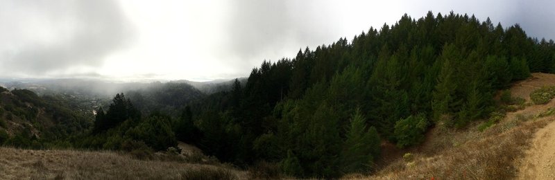 Beautiful, foggy panoramic from the Wagon Wheel Trail.