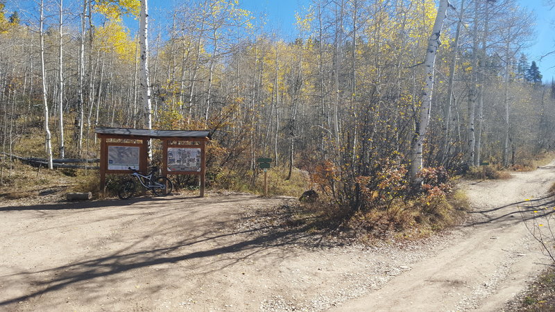 Main intersection of Smuggler's Trail, the Smuggler Mountain road and the BTS trail