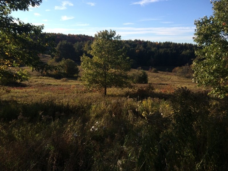 View of Valley