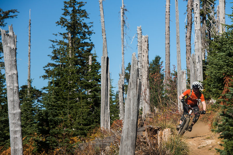 Bluebird Fall riding on Trail 140.