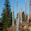 Bluebird Fall riding on Trail 140.