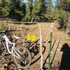 Riding along Anasazi you come to a turn off for Mesa loop. You must pass through this gate to complete the loop.