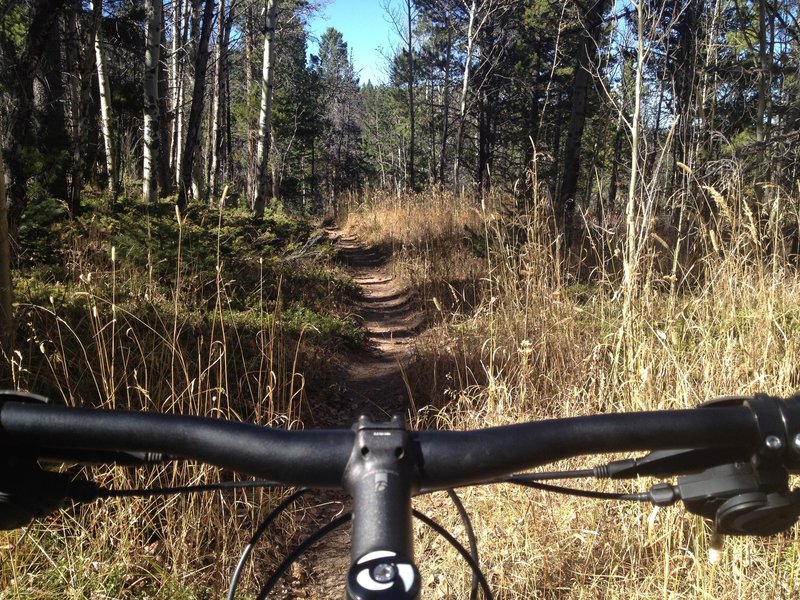 There are some stretches of singletrack to be found around Homestead Meadows