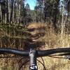 There are some stretches of singletrack to be found around Homestead Meadows