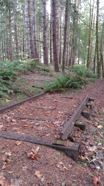 Little snippet of old railroad tracks at the top of the switchbacks on the Visitor Center Loop.