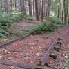 Little snippet of old railroad tracks at the top of the switchbacks on the Visitor Center Loop.