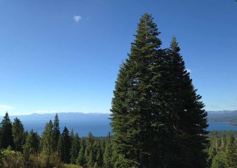 View from the top of the Powerlines Downhill