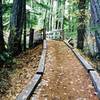 Really nice trail improvements like this bridge are all around the lake.