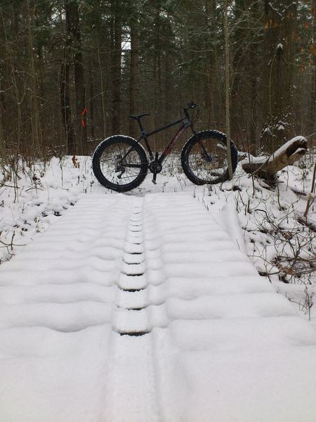 Just crossing a bridge early winter.