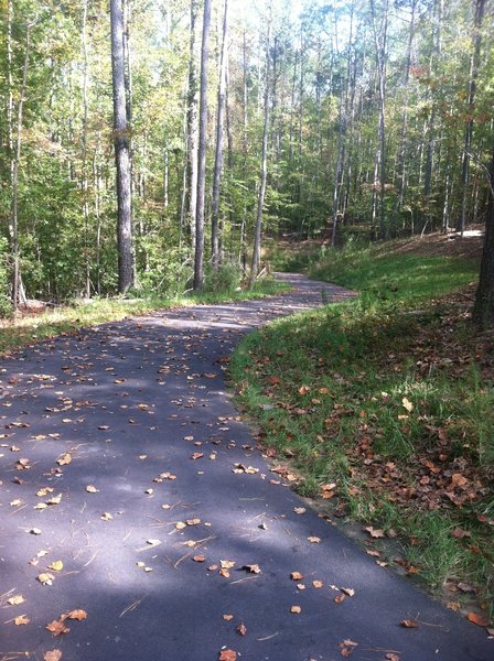 Continue down the asphalt paved multi use path to Loop E.