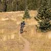 Fast and smooth section of trail in the Corner Park meadows.  Taking advantage of the late autumn warm and dry spell.