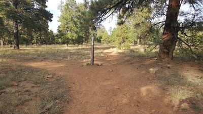 First fork from the trailhead