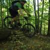 Enjoying the log pile on Kemp Trail